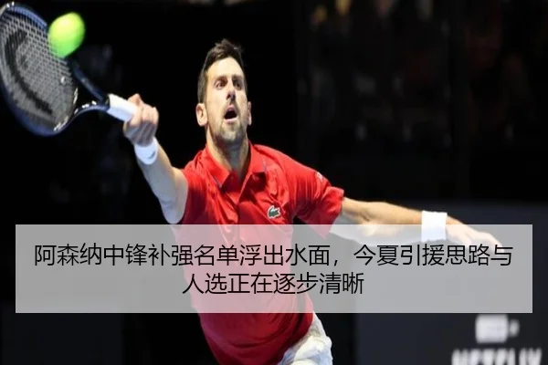 阿森纳中锋补强名单浮出水面，今夏引援思路与人选正在逐步清晰